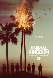 Watch Full Tvshow :Animal Kingdom