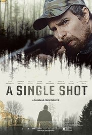 A Single Shot (2013