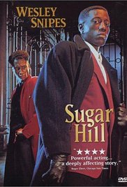 Sugar Hill 1993